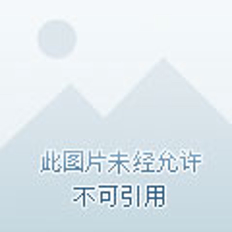 大安市家庭农场:探寻现代农业的绿洲