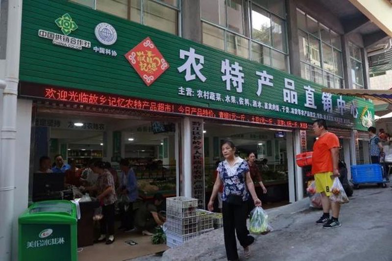 全国粮食种植基地现状与展望