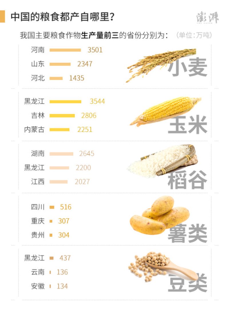 稻浪滚滚：探究最新水稻种植技术与发展趋势