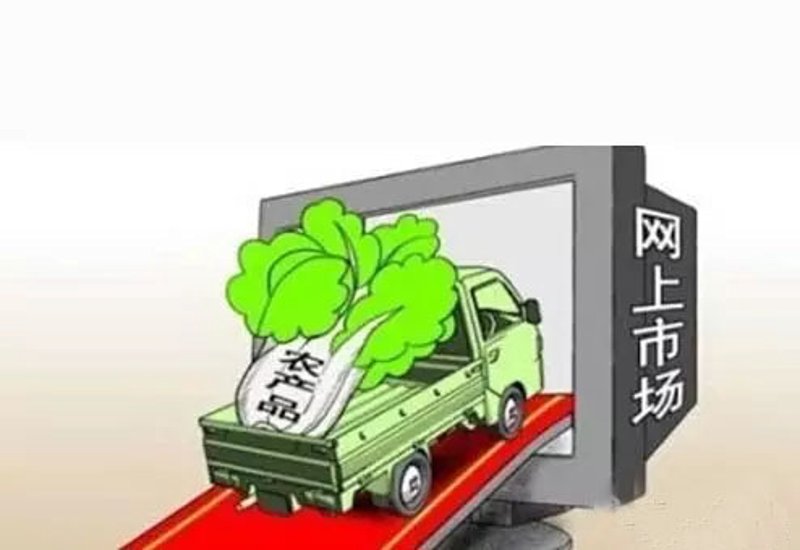 水稻种植的技术革新与绿色发展的探索